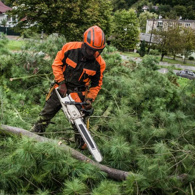 opfrissingsdag kettingzaag